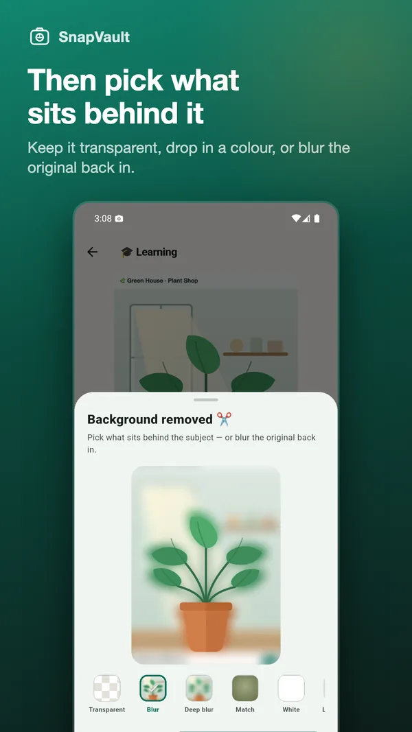 The same cut-out with Blur selected: the plant now sits on a softly defocused version of the screenshot it was lifted from